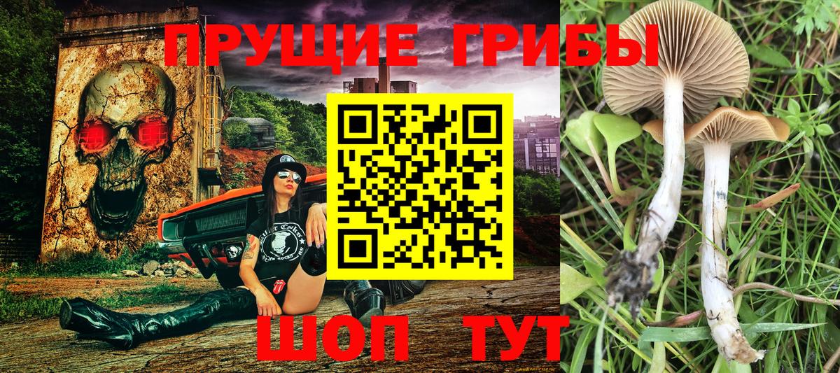 Галлюциногенные грибы GOLDEN TEACHER Сергиев Посад