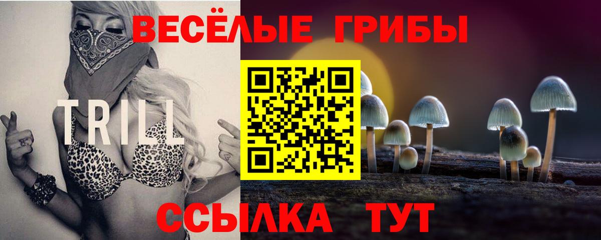 Сергиев Посад  Галлюциногенные грибы GOLDEN TEACHER  Вход с VPN 